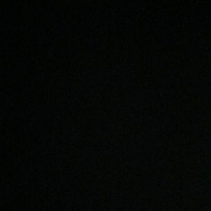 Meet your Posher, Gwendolyn